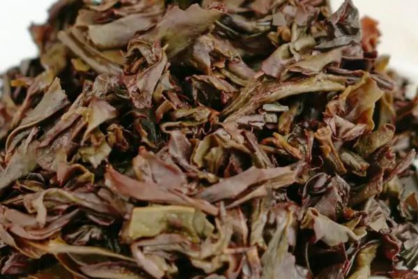 茶叶渣可以做花肥吗，可以做花肥但需要腐熟