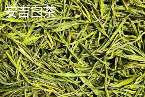 什么绿茶最香最好喝，推荐以下10种