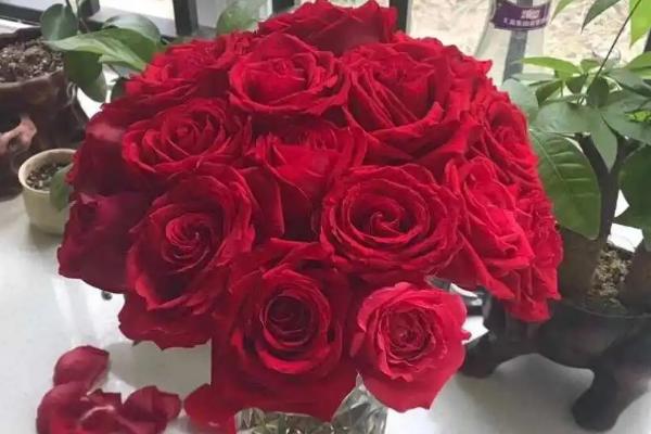 十朵红玫瑰的寓意，代表着十全十美的爱恋