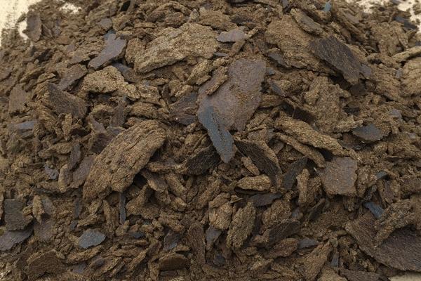 菜籽饼直接埋进土里能发酵吗，会产生高温烧伤植株的根系