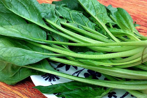 适合白露种植的蔬菜，适合种小白菜、上海青、菠菜等