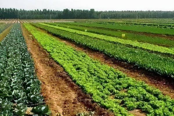 什么是绿色农业，是一种协调农业生产和环境保护的农业发展类型