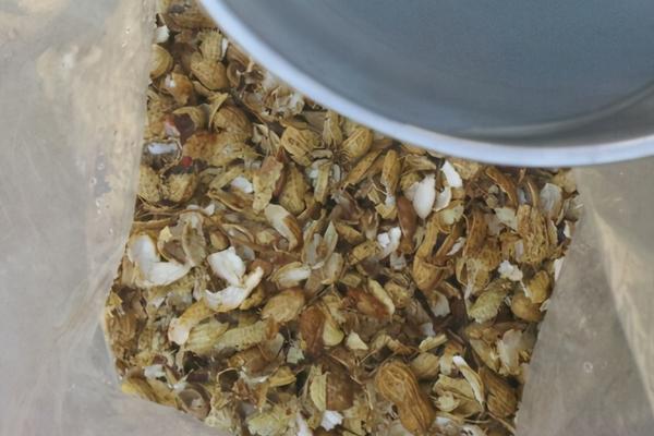 花生壳怎么发酵做营养土，通常在发酵6个月后才能使用