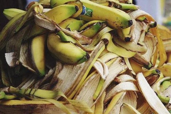 香蕉皮是氮肥还是钾肥，沤制后可作为钾肥使用