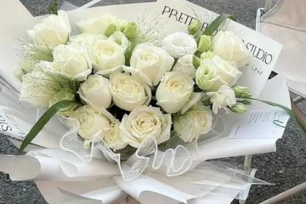 白玫瑰的花语，纯洁、纯真、高贵、纯情均是它的花语