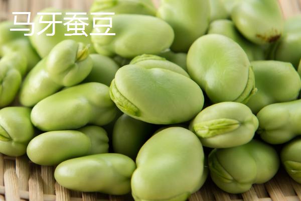 蚕豆和兰花豆有什么区别，兰花豆是用蚕豆加工出来的食品