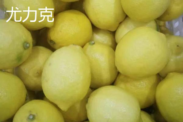 柠檬的品种，品种较多，原产自不同地区