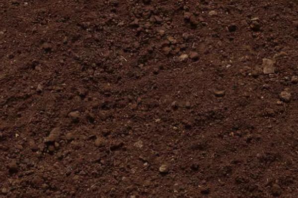 亚麻花种子的种植方法，选择疏松多孔且透气不积水的土壤为佳