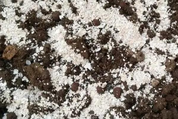 蚕豆壳怎么作为花肥使用，放入装有淘米水的容器中发酵即可