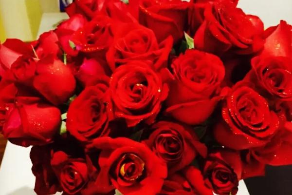 33朵红玫瑰的花语是什么，寓意三生三世、幸福的微笑等