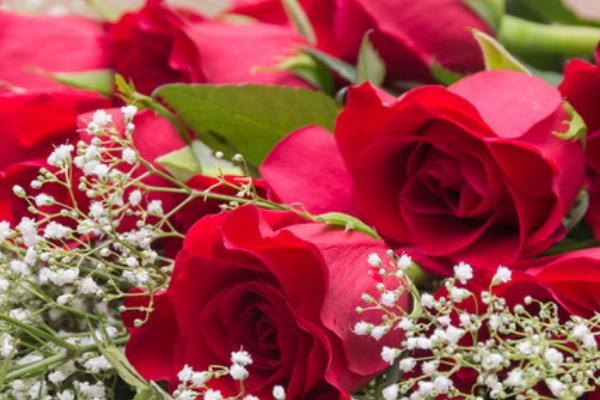 33朵红玫瑰的花语是什么，寓意三生三世、幸福的微笑等