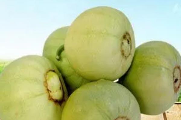 香瓜的品种，常见的有长香玉、香妃、蜜仙等
