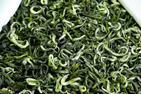 绿茶是什么茶，是以采取茶树的新鲜叶芽