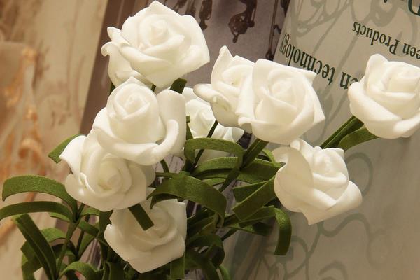 白玫瑰的花语，寓意纯洁、浪漫、尊敬等