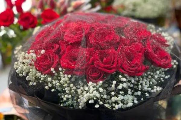 33朵玫瑰的花语，寓意三生三世、我只爱你等