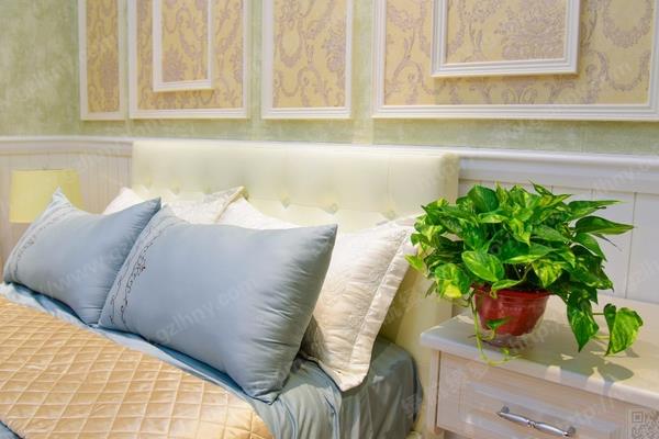 绿萝放在卧室对人体有害吗，可以净化空气对人体无害