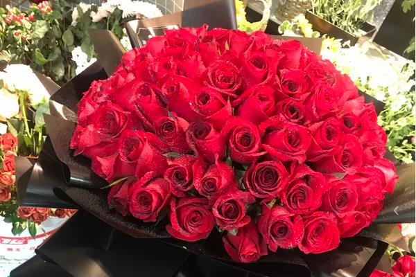 红玫瑰的花语，寓意我爱你、热情洋溢等