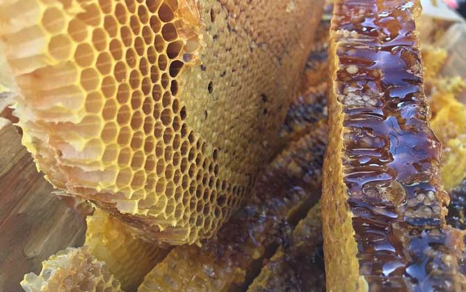 经常喝蜂蜜好吗