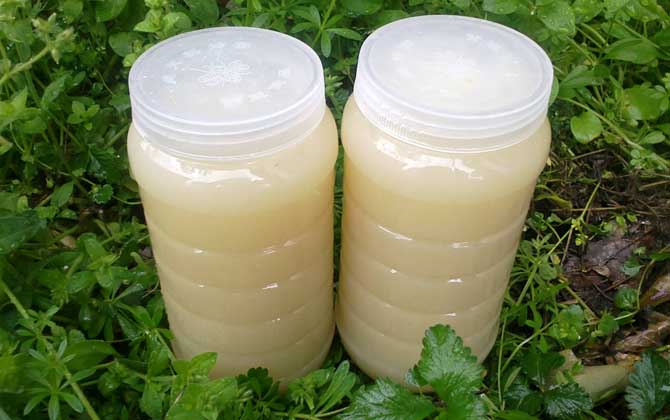 油菜花蜂蜜为什么没卖的?