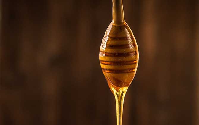 蜂蜜加醋有什么功效？