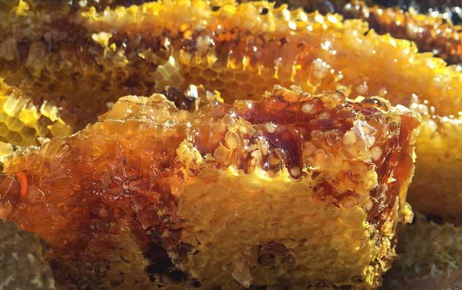 蜂蜜祛痘最有效的方法
