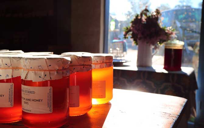 蜂蜜祛痘最有效的方法