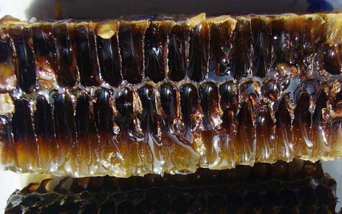 蜂巢素有什么功效及用途？