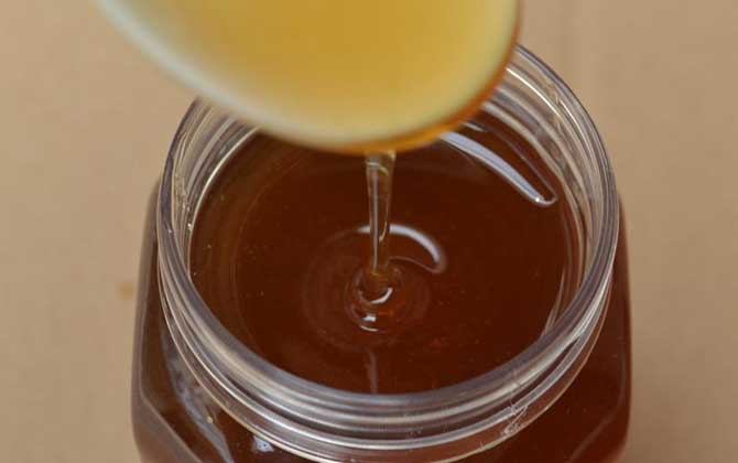 枣花蜜的作用与功效及食用方法