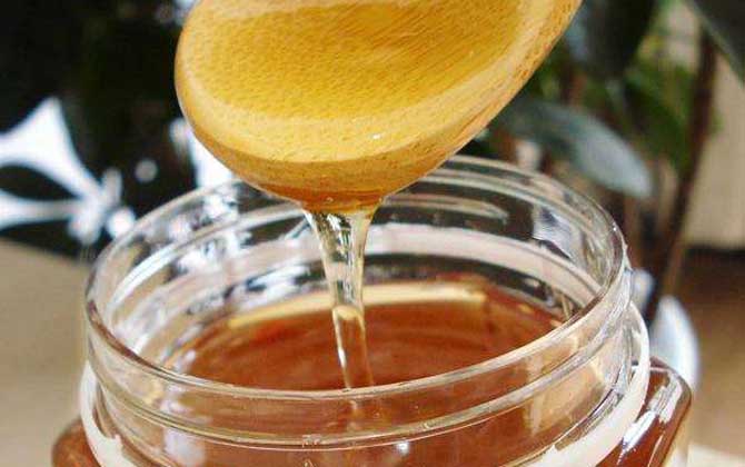 枸杞蜂蜜的作用与功效及食用方法