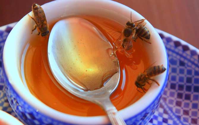 蜂蜜洗脸有什么好处和坏处？