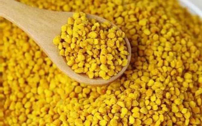 玉米花粉的功效与作用及食用方法