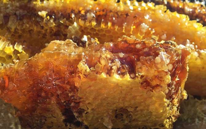 蜂巢蜜为什么比蜂蜜贵？