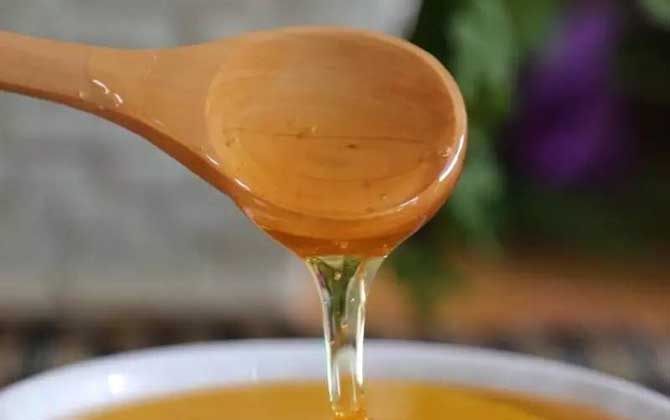 荆条蜜价格多少钱一斤？