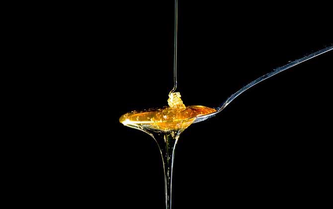 蜂蜜减肥法真的有用吗？