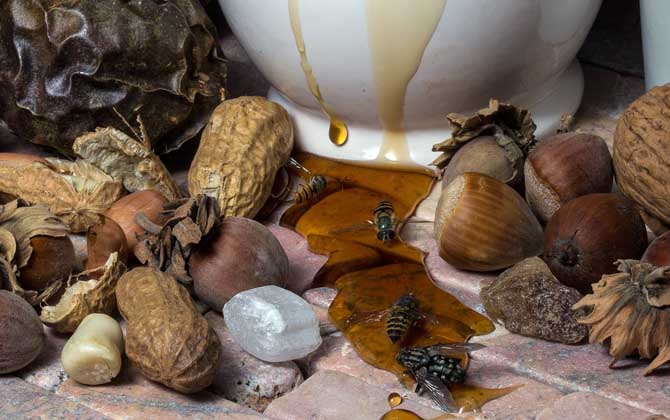 喝蜂蜜为什么有减肥效果？