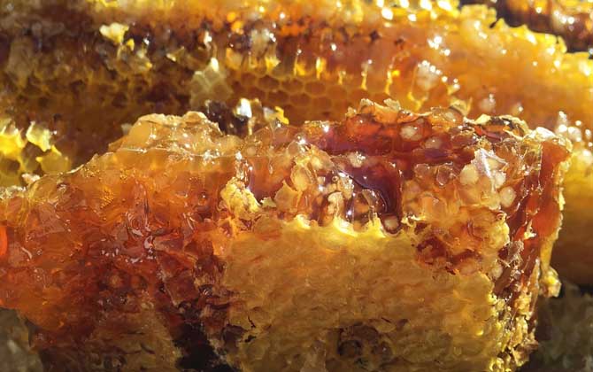 蜂王浆和蜂蜜有什么区别？