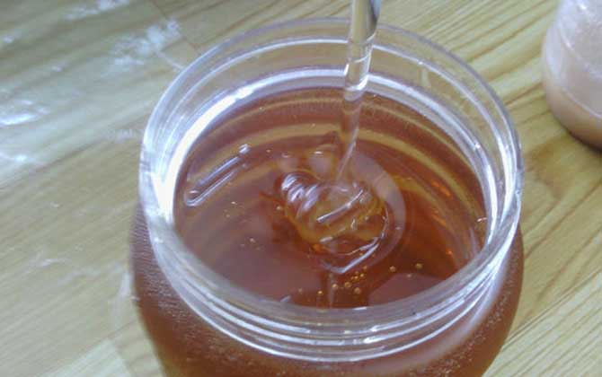 喝姜末加蜂蜜水能减肥吗？