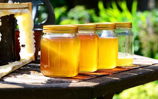 三日蜂蜜减肥法真的靠谱吗？