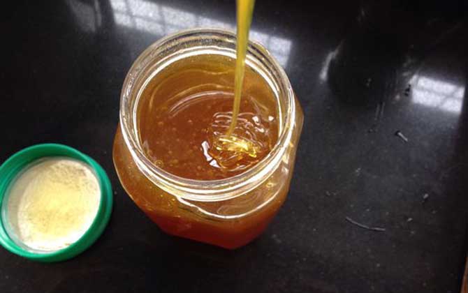 桉树蜂蜜的坏处及副作用