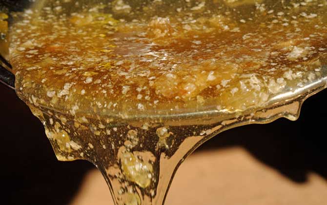 蜂蜜有颗粒感是真的吗？