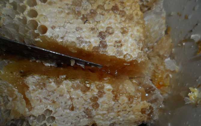 吃土蜂蜜的禁忌有哪些？除了不能过量食用，还不能长期空腹食用！