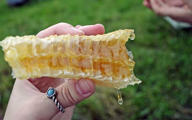 蜂巢蜜和蜂蜜有什么区别？