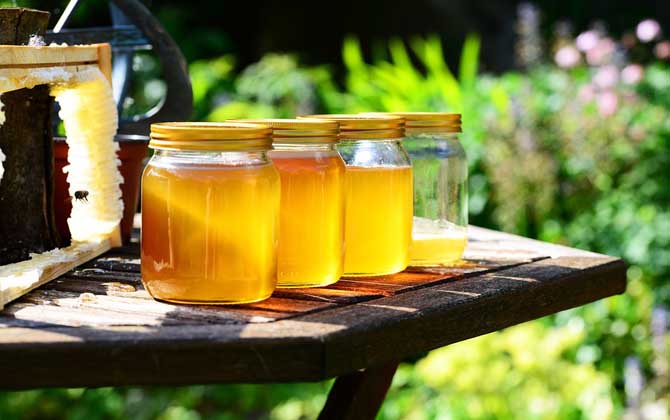牛奶加蜂蜜能减肥吗？