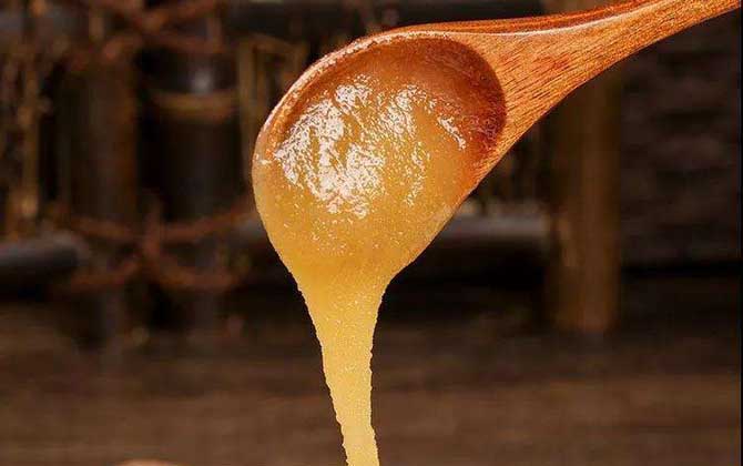 黄连蜜的作用与功效及食用方法