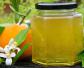 橙花蜜的作用与功效及食用方法