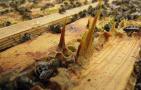 蜂胶在蜂巢里的图片及位置，覆盖和覆布上最多，箱体内壁也有！