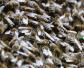 北方蜜蜂春繁技术有哪些？