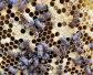 中蜂烂子病有什么特效药治疗？