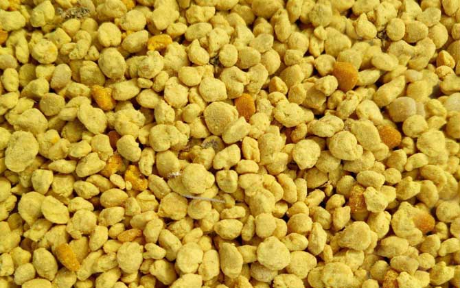油菜花粉怎么服用治疗前列腺炎？
