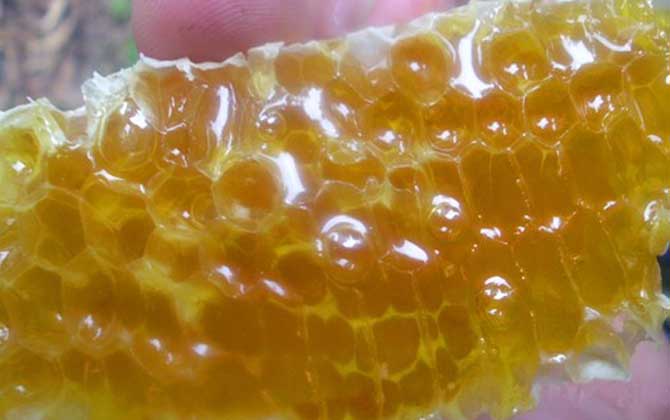 土蜂蜜可以用来敷脸吗？